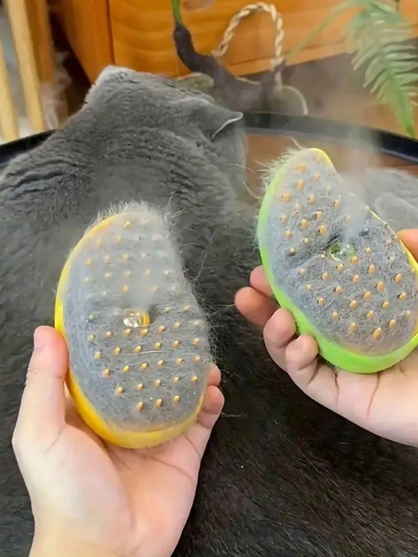 Cat Steam Grooming Brush – Gentle Hair Remover & Deshedding Brush